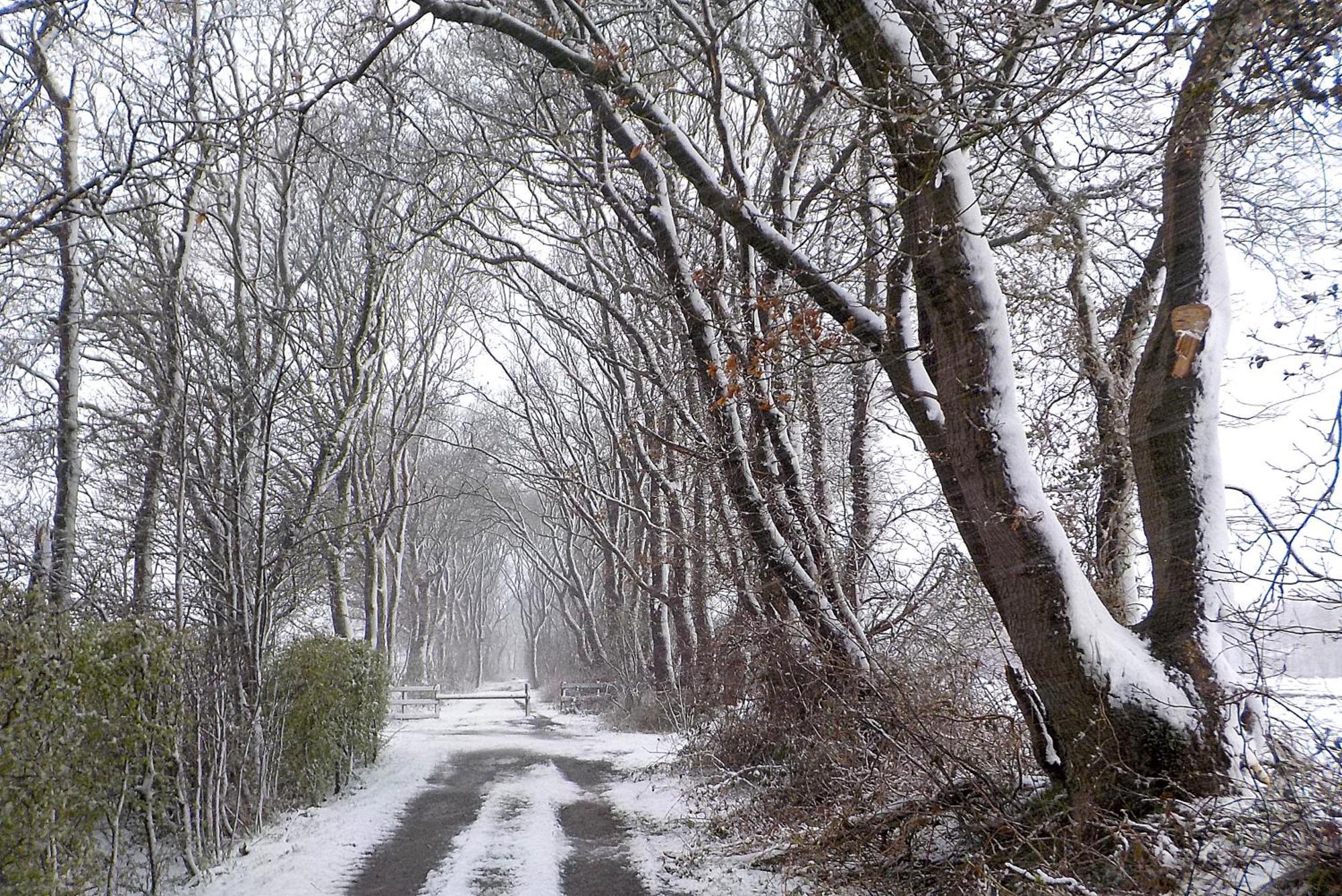 Natuurhuisje 'T Poepekrus Kootstertille Exterior foto